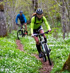 Cykla i skogen bland vitsippor