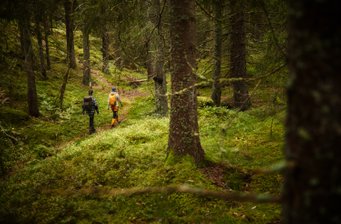 Magisk skog i södra Sveriges största skogsområde med vandring