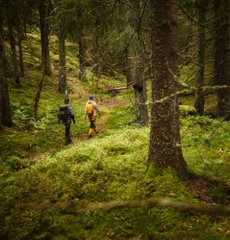 Konferens vandring i naturen och skogen Dalsland