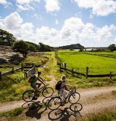 Cykla i Dalsland